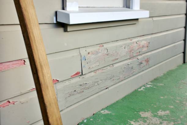 Best Weatherproofing and Sealing  in Susan Moore, AL